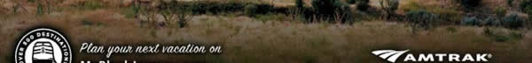 Amtrak
