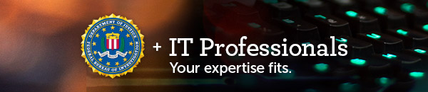 FBI + IT Professionals - Your expertise fits.
