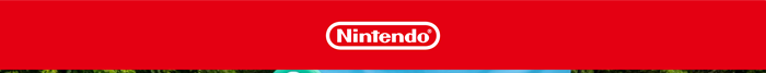 Summer Internship Opportunities with Nintendo