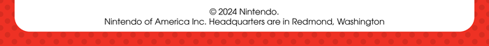 Summer Internship Opportunities with Nintendo