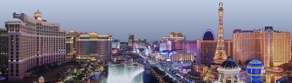 National Sales Network Conference and Career Fair - August 5 - 8 In Las Vegas