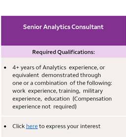 Senior Analytics Consultant