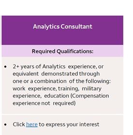 Analytics Consultant