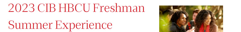 The Wells Fargo 2023 CIB HBCU Frreshman Summer Experience