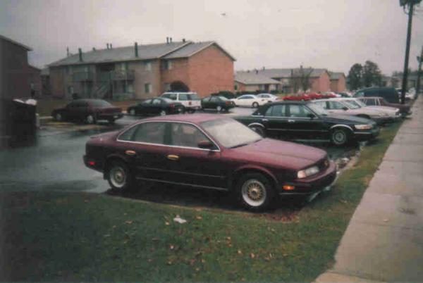 8th wonder of the world