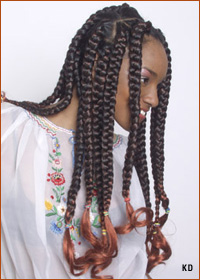 Six Flags bans Natrual Hairstyles