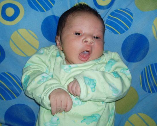 The newest addition...