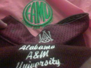 AAMU/FAMU
