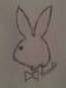 one hot playboy bunny