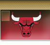 CHICAGO BULLS