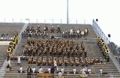 UAPB in tha Stands
