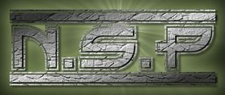 N.S.P which means No Sleep Promotions