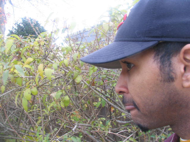 walking back from voting