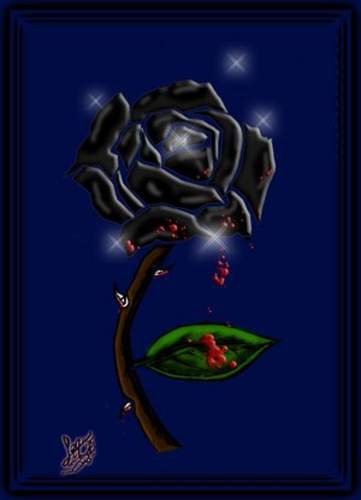 Beautiful Black and Blue