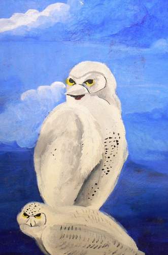 SNOWY OWLS