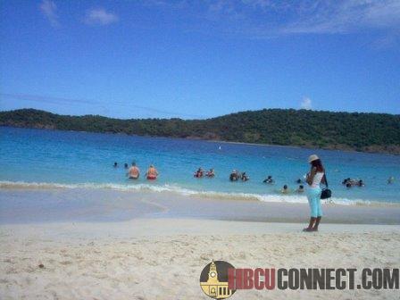 Click This Image To Enlarge...