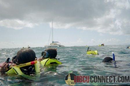 Click This Image To Enlarge...