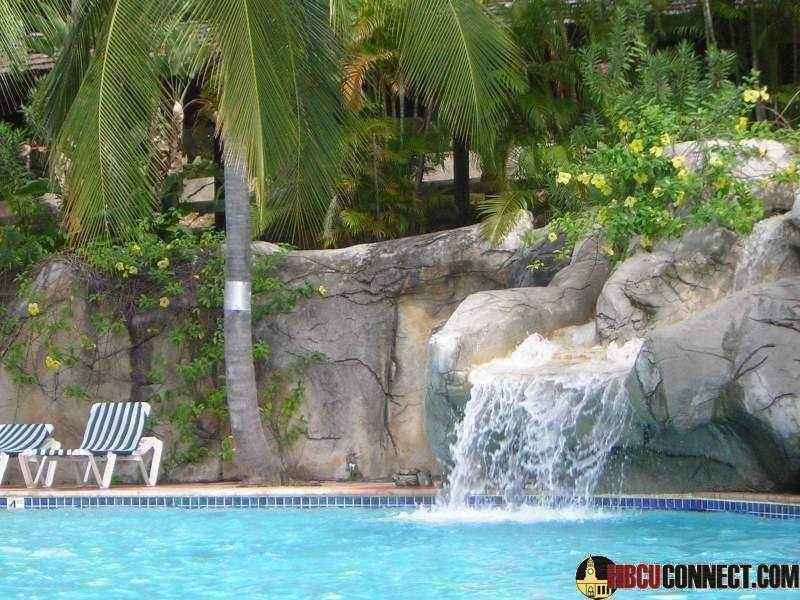 Click This Image To Enlarge...