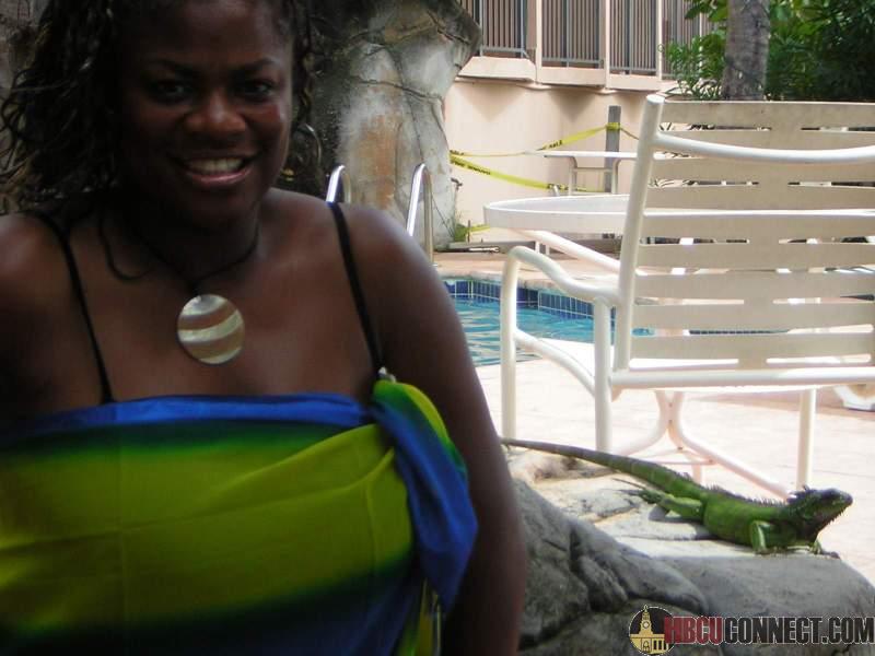 Click This Image To Enlarge...