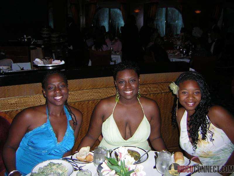 Click This Image To Enlarge...