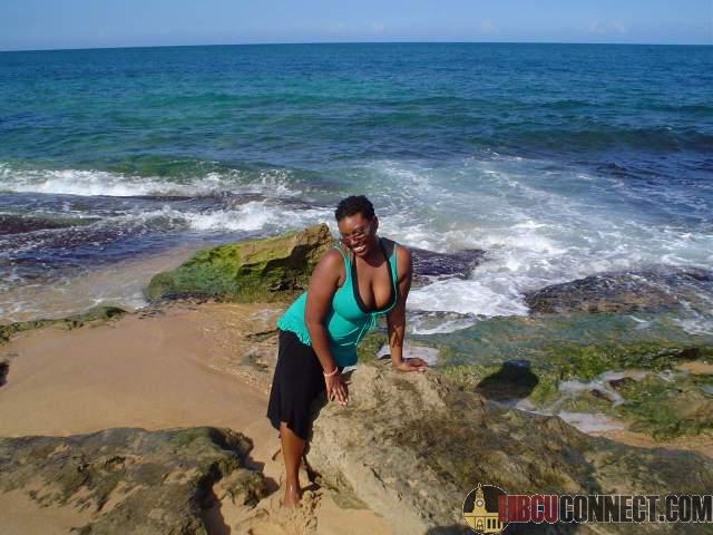 Click This Image To Enlarge...