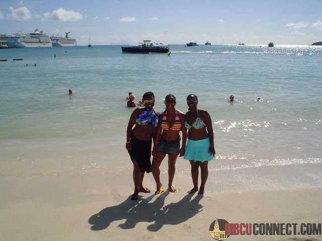 Click This Image To Enlarge...