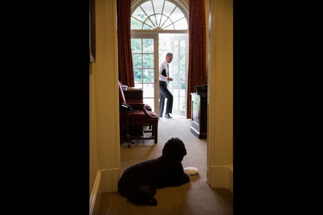 Click This Image To Enlarge...