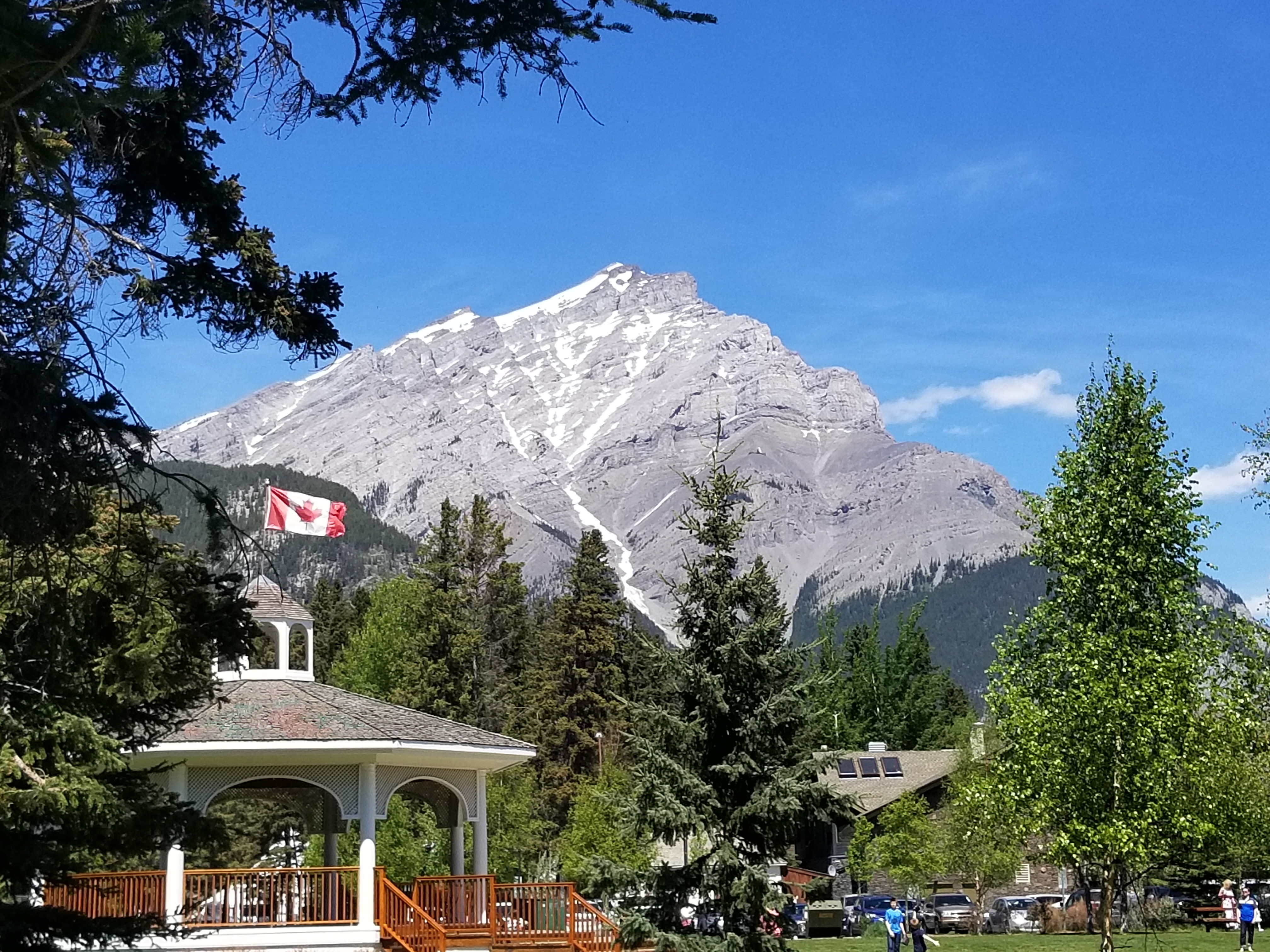 Click This Image To Enlarge...