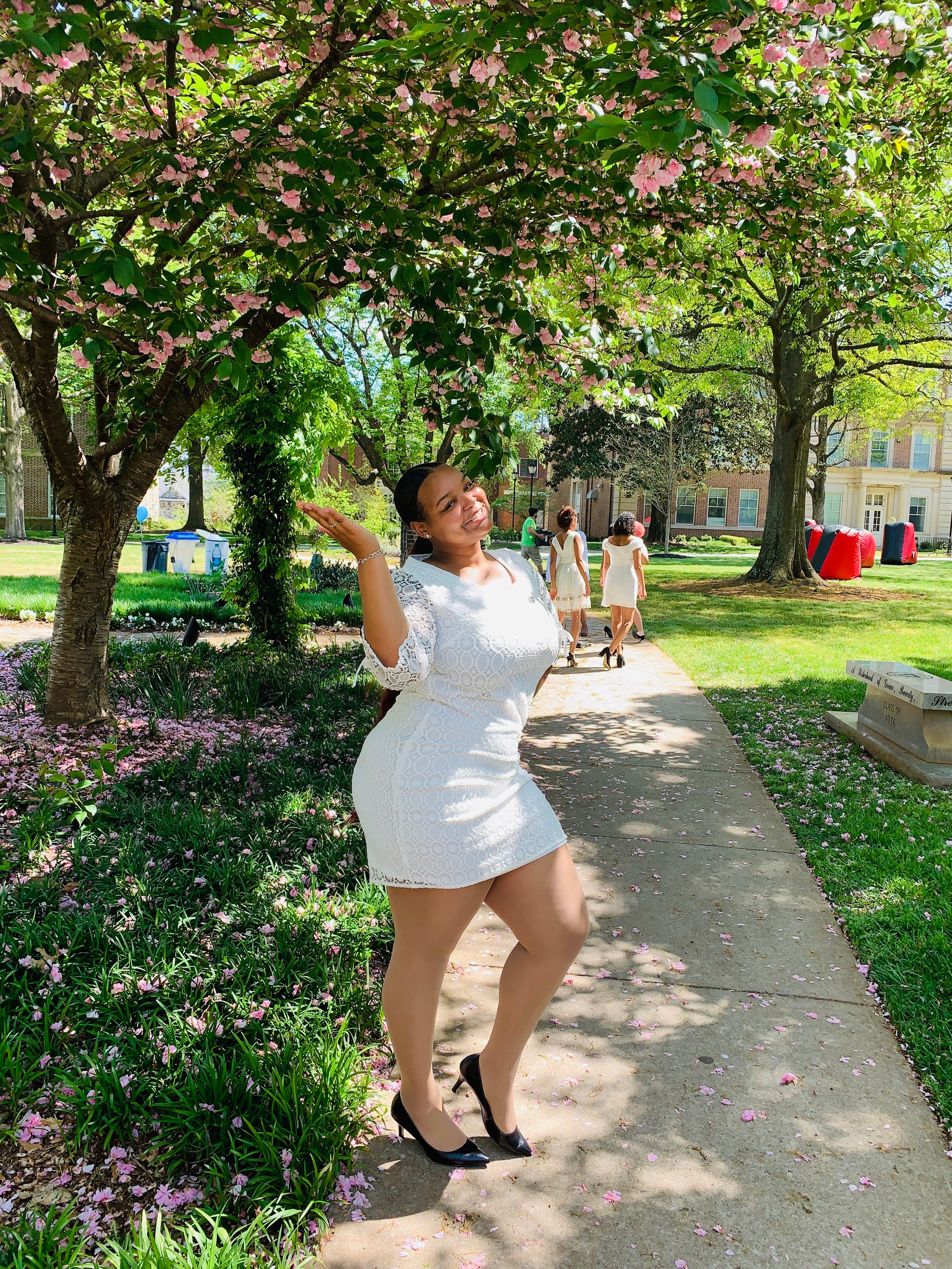 Click This Image To Enlarge...