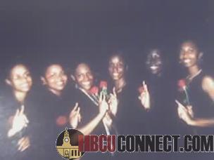 The LIne Spr 04
