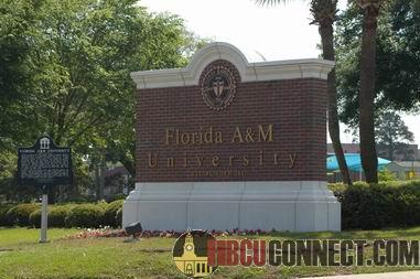 WHATS UP WIT PADDYFOOTE?