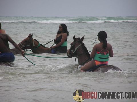 Horseback riding in Jamaica