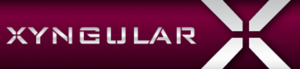 An introduction to Xyngular: