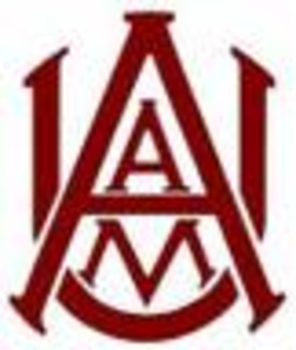 Police Make Arrest in Firearm Incident