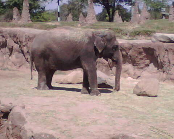 Earn Cash While Shopping Online Plus Travel Prices That Brings Harmony To Your Ears!