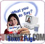 Free Voice2Page Press Release