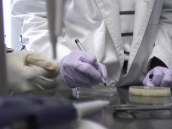 SC State Researchers Led by Dr. Waltena Simpson Look at Oil Clean-Up Solution for Gulf