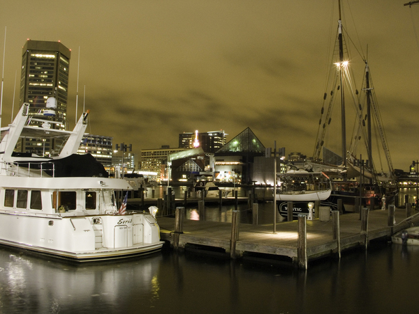 Visual Resume [100% FREE]