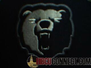 Bear Logo