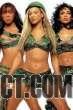 "I need a solider" Destinys Child