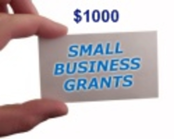 E Group Systems - Business Development Grants