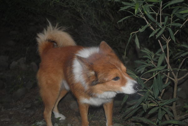 Random Photo Upload On Mon Dec 13th, 2010 at 2:30AM