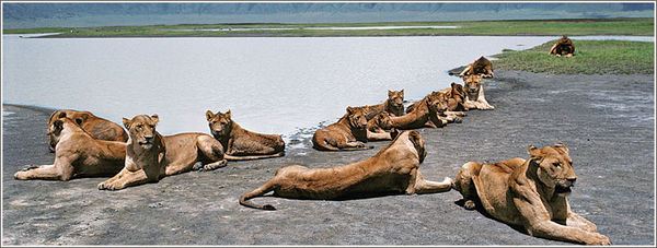 Time to visit Africa