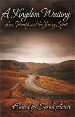 Trotwood-Madison High School Students Debut Anthology at Dayton Book Expo