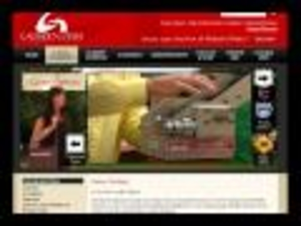 Third Wave Digital - Gadsden State Community College Website