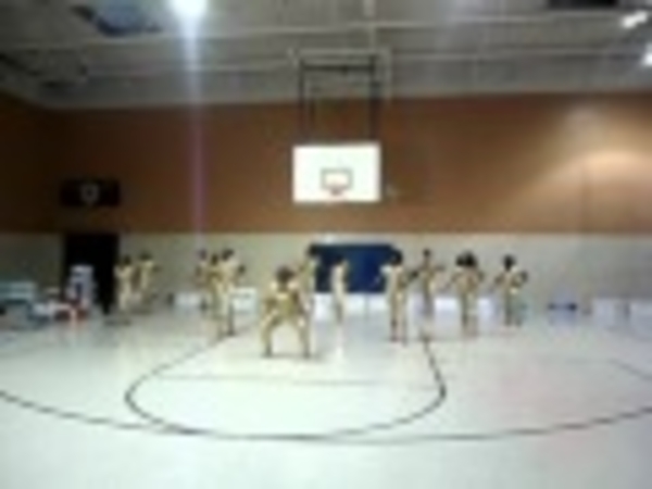 LAWSON STATE COLLEGE DANCE TEAM "GOLDEN ESSENCE"