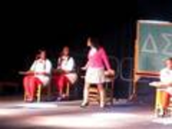 Lincoln University Step Show 2008 Delta Sigma Theta prt 1