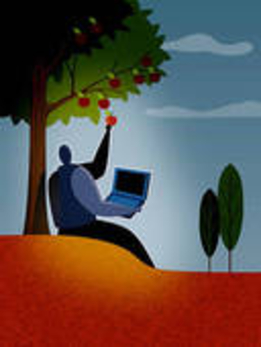 FAST FOOD WEEKENDER!  WE HAVE FRUIT FROM LIVING TREES!!!