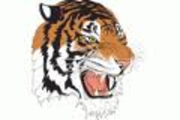 TSU today we are all about YOU! "BIG BLUE TIGERS" show us whatcha got! Go! Go! Go! Go!