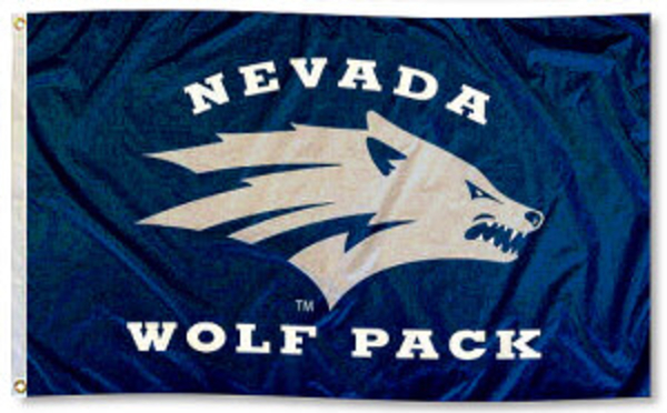 The University of Nevada, Reno wants to hire you as the next Instructional Designer!